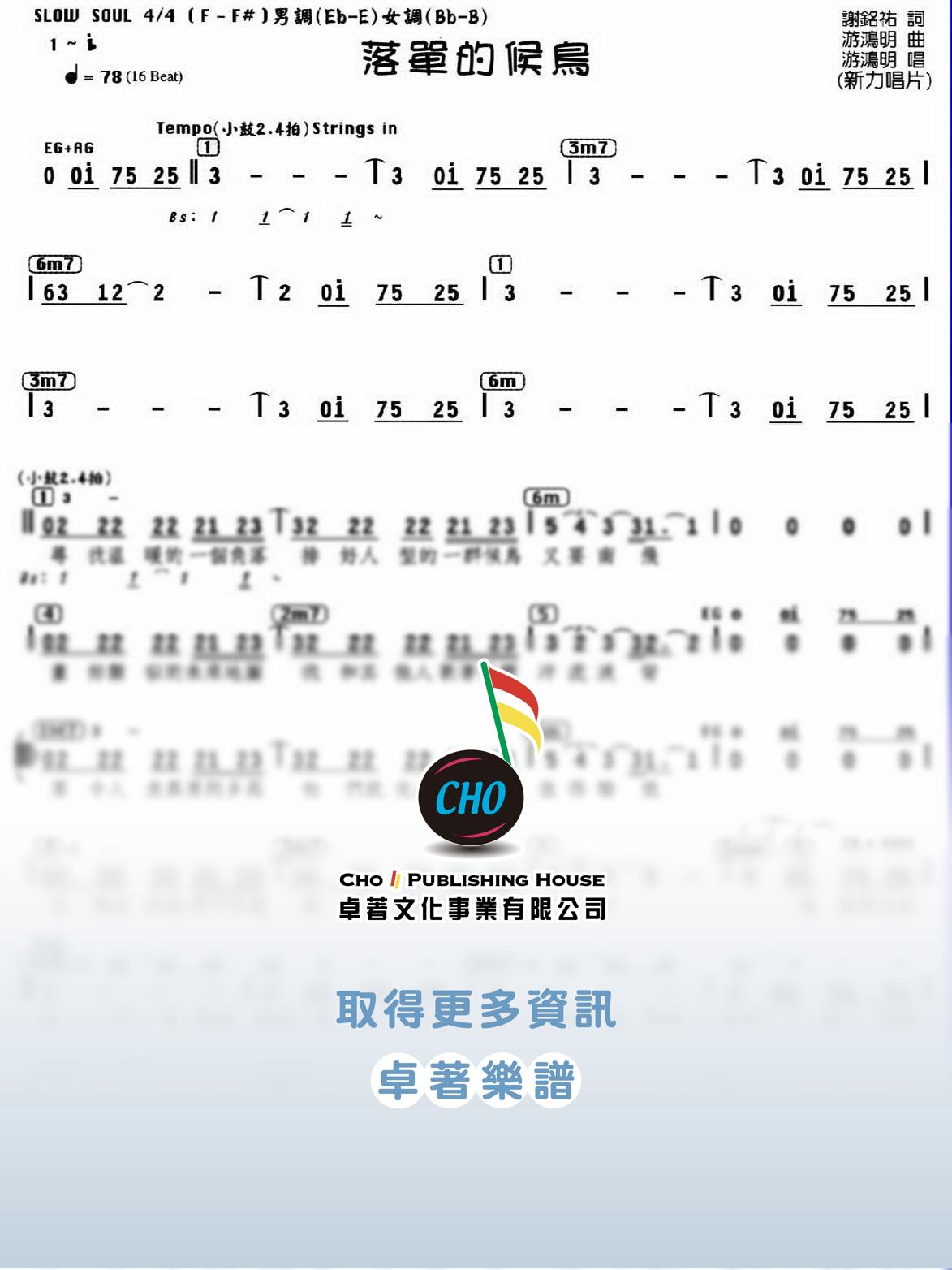落單的候鳥